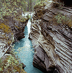 Canyon bei den Athabasca Falls